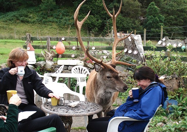 Audrey Litterick (right) at Sheena's tea hut, Corran (photo: Tony Kinghorn)