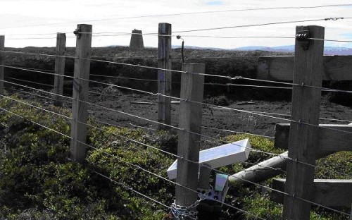 Electric fences on Hill of Wirren (photo: David Hughes)