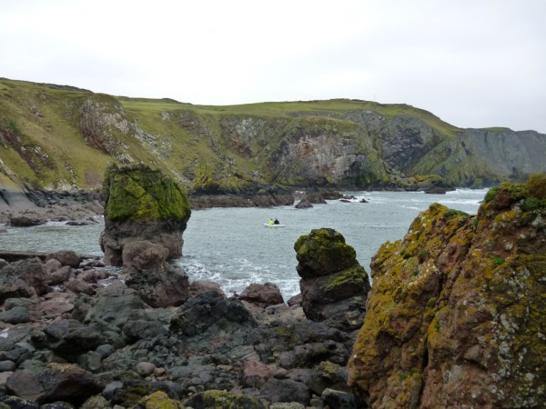 St Abbs Head (photo: Alan Dawson)