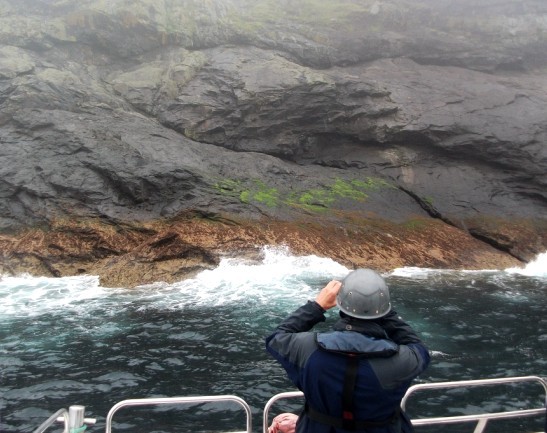 Boreray south tip landing: just an easy walk (photo: Chris Watson)