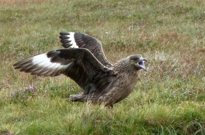 Get off my land (photo: Margaret Squires)