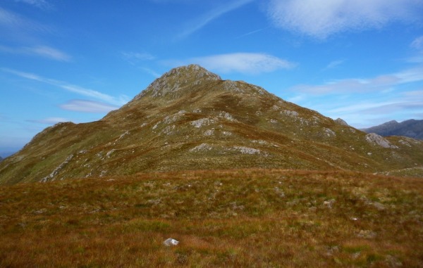 Biod an Fhithich (photo: Alan Dawson)