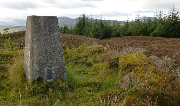 S9375 Dull Wood, a leisurely stroll for Dull men