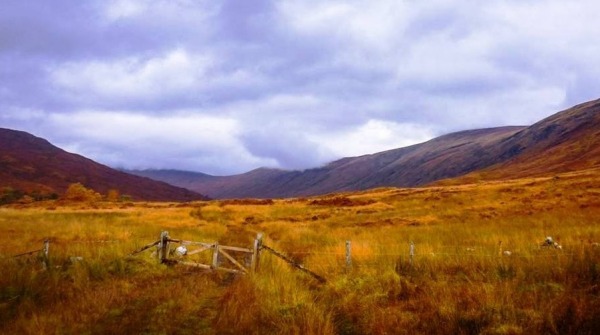 Glen Mallie (photo: Martin Richardson)
