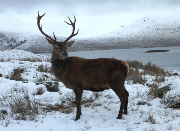 The benefit of hindsight (photo: Martin Richardson)