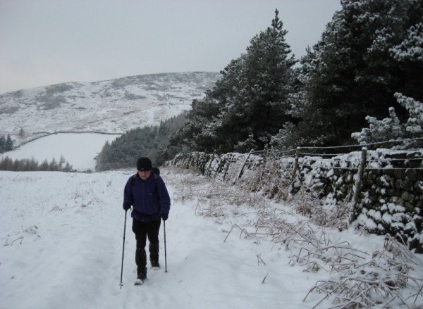 On Urra Moor (photo: Phil Dant)
